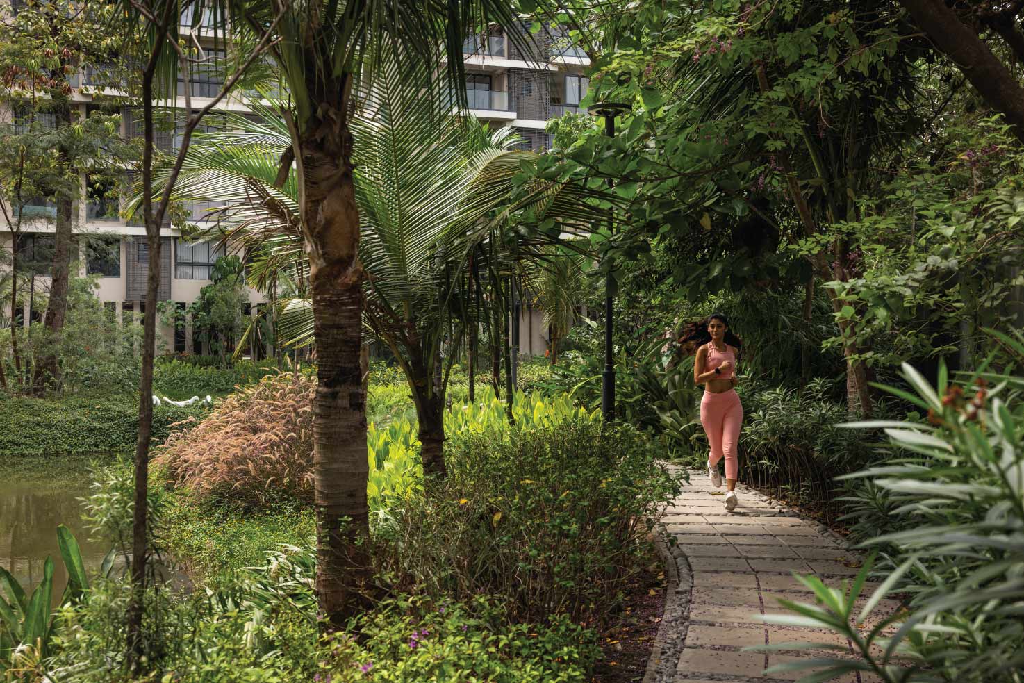 Jiva - Meandering Green Trail