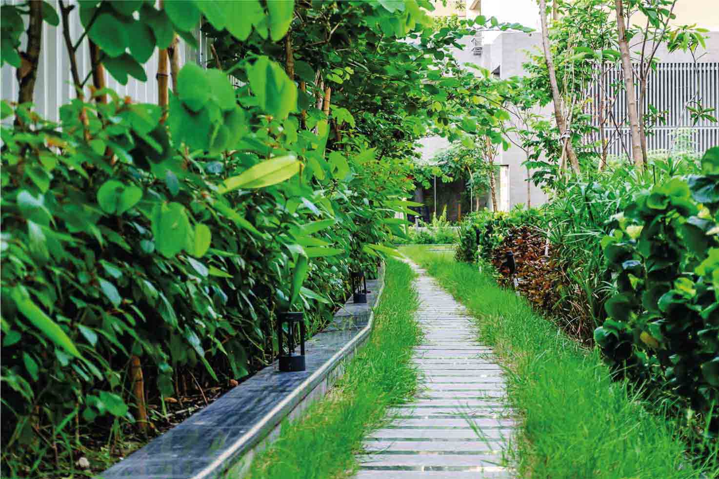 Residential Apartments in Sector V